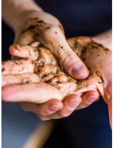 Raw Coffee Hand Scrub + Wash 2