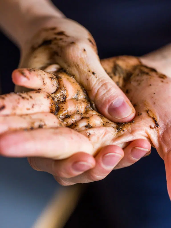 Raw Coffee Hand Scrub + Wash