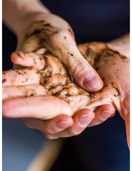 Raw Coffee Hand Scrub + Wash