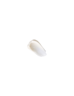 Rich Day Cream 2